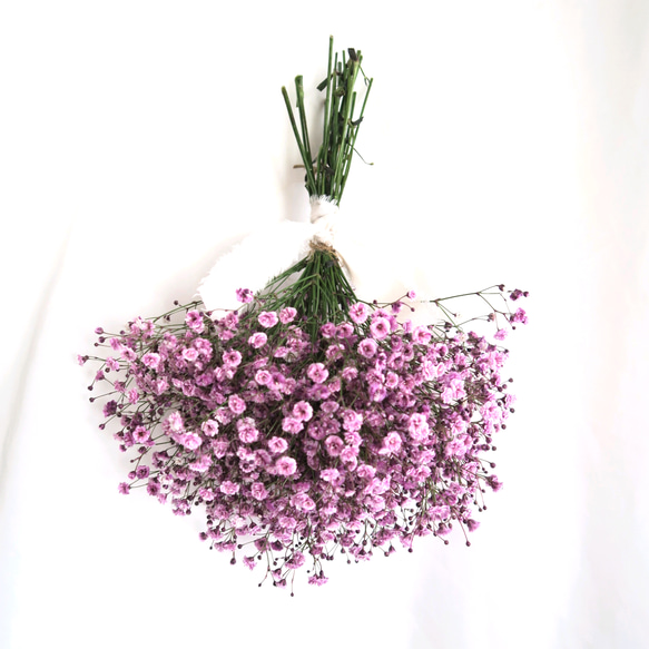 【特集掲載】purple babys breath swag（パープルかすみそうのスワッグ）母の日