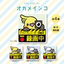 ドラレコステッカー｜オカメインコ