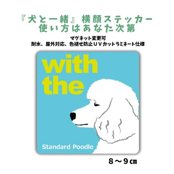 スタンダードプードル ホワイト DOG IN CAR 横顔ステッカー 『犬と一緒』玄関 車 名入れ