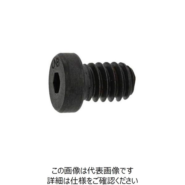 SUNCO ローヘッドCAP（UNC アンブラコ 1/4-20×3/8 （100本入） 243-4497（直送品）