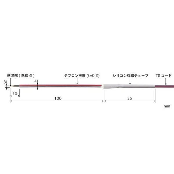 ST-21K-010-TS1-ANP（直送品）