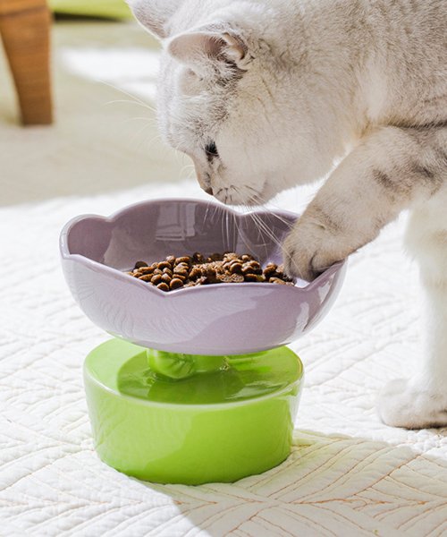 チューリップ ペット食器