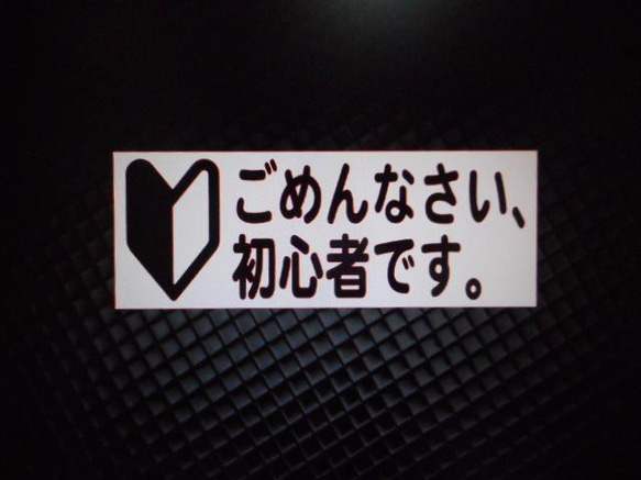 初心者用　注意喚起　カッティングステッカー　２