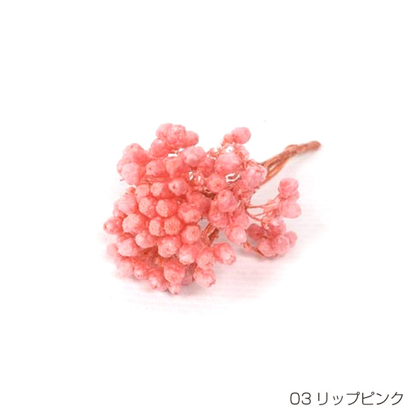 【即納】 ライスフラワー パステルシリーズ 70g リップピンク プリザーブドフラワー 花材 花 プリザーブド花材