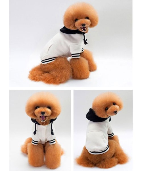 ドッグウェア 犬服 パーカー トレーナー スタジャン ペット用品 わんこ わんちゃん ドッグ 洋服 秋冬 秋服 冬服 防寒 小型犬 中型犬