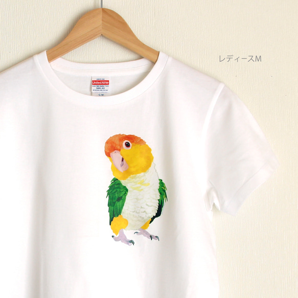 p-jet　シロハラインコ  Tシャツ　 / 鳥 インコ　再販まつり2024