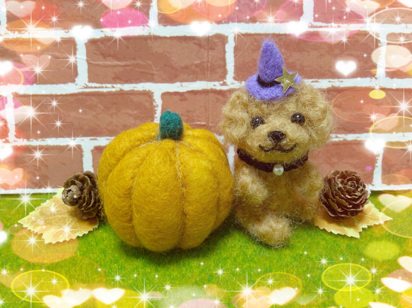 トイプードルちゃんのhappyハロウィン