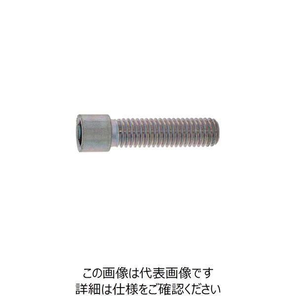 SUNCO 三価ホワイト 小頭CAP 8×30 （100本入） A0-00-0050-0080-0300-03 247-5202（直送品）