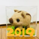 [再販4] 2019年の干支❤︎うり坊くん