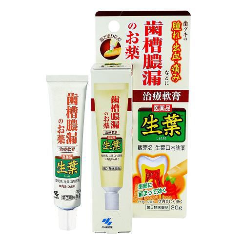 【第3類医薬品】 小林製薬 生葉口内塗薬 (20g)