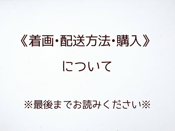 《着画・配送方法・購入について》　バルーンバッグ