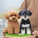 【オーダーメイドペット】羊毛フェルト、うちの子　犬ぬいぐるみ、フェルト犬、羊毛犬、肖像画、犬猫人形 プレゼントやギフトに