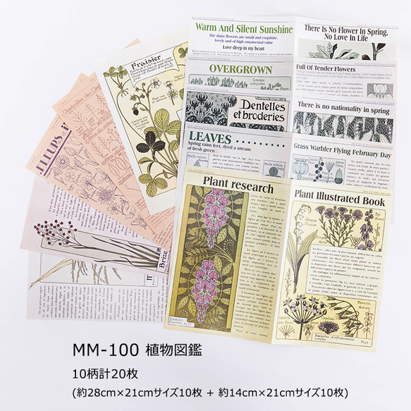 新入荷！『大きめ！デザインペーパー ビンテージ雑誌シリーズ 「MM-100　植物図鑑」』～10柄 (計20枚入り)～