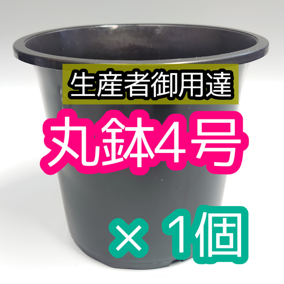 丸鉢 4号 黒 1個 プラ鉢 サボテン アガベ 多肉植物 観葉植物 多肉植物