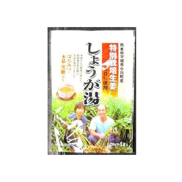 イトク食品 特別栽培 しょうが湯 20g 4袋 FCN2892