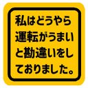 私はどうやら運転がうまいと勘違いしてた カー マグネットステッカー