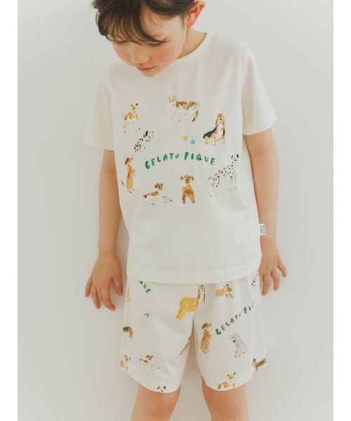 gelato pique Kids＆Baby/【ヒラノトシユキ】【KIDS】DOG柄ショートパンツ