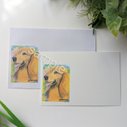 封筒とメッセージカードセット　ダックス　犬イラスト　ダックスグッズ　レターセット