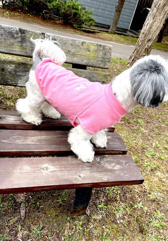 ★犬服★モスキートストップTシャツ　選べるワッペン　パステルカラー