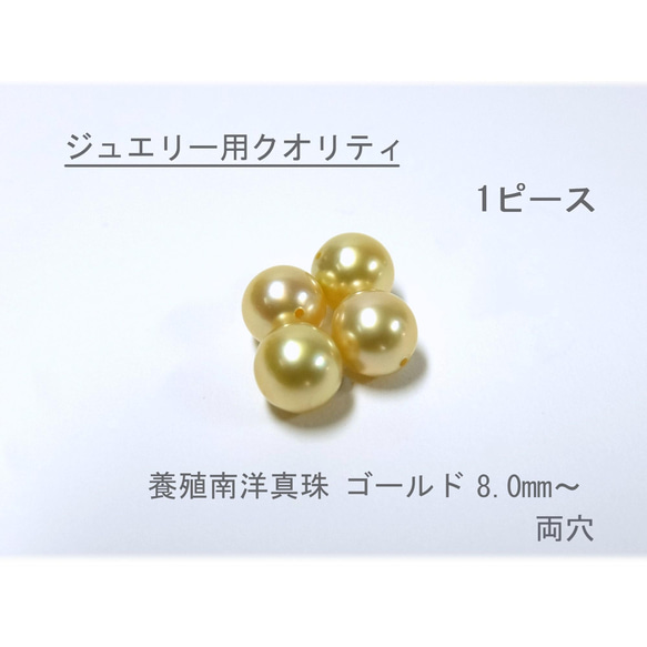 【高品質パール】8.0mm up 養殖南洋真珠 ゴールド ルース 1ピース　B621