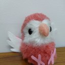 アキクサインコ ルビノー ぬいぐるみ