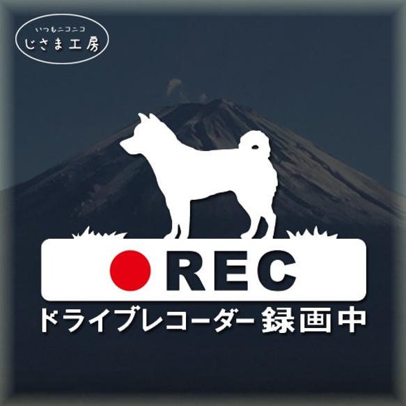 柴犬の白色シルエットステッカー煽り運転防止!!ドライブレコーダー録画中