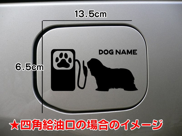 《送料無料》ビアデッドコリー 犬 ステッカー リアガラス 給油口 車