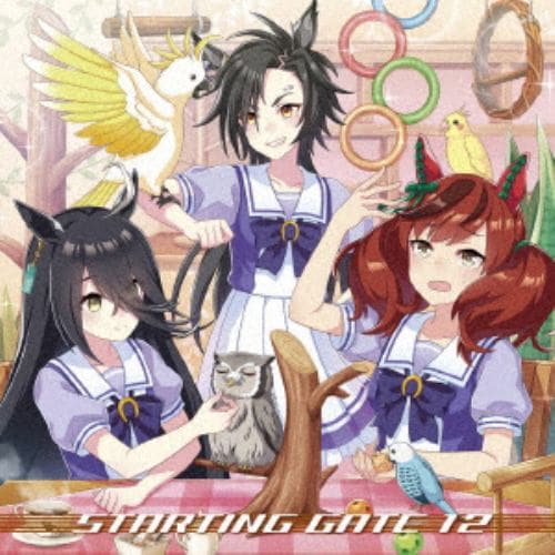 【CD】ゲーム『ウマ娘 プリティーダービー』STARTING GATE 12