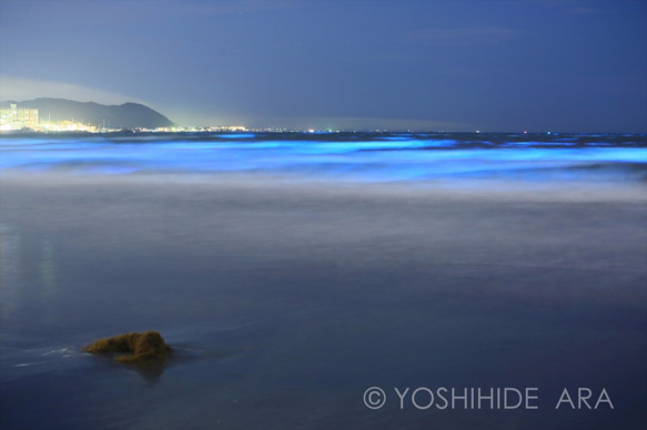 【額装写真】夜光虫輝く海