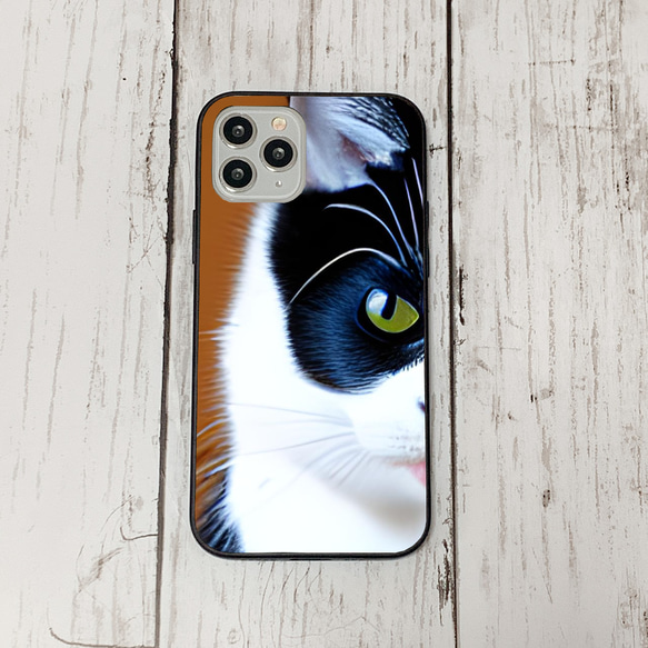 iphoneケース3-3-50 iphone 強化ガラス 猫・ねこ・ネコちゃん 箱19 かわいい アイフォン iface