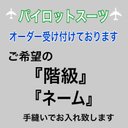 【オーダーPスーツ】ワッペン無しブルーインパルス パイロットスーツ風(ブルーまたは緑)  ぬいぐるみコスチューム服