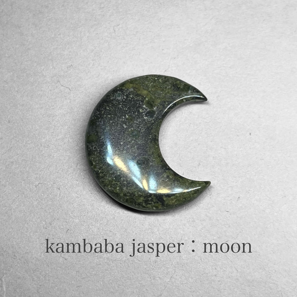 kambaba jasper：moon / カンババジャスパー：月