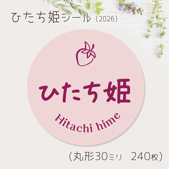 ご希望の文字印字可　ひたち姫　シール（2026）　30ミリ 240枚