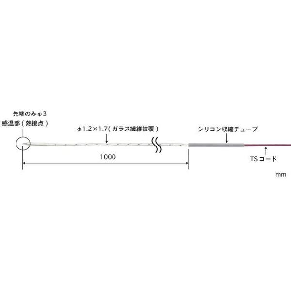 AT-20K-100-0-TS1-ASP（直送品）