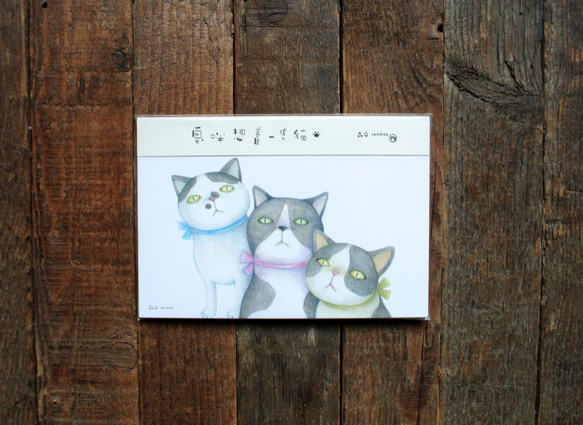 「臭い猫を飼いたい」猫イラストポストカードグループA（9枚/エントリー）