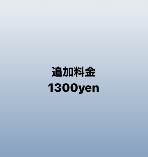 追加料金1300円