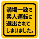 満場一致で素人運転に選出されてしまった カー マグネットステッカー