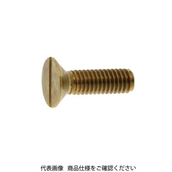 ファスニング J BK ステン（ー）サラコ 6 X 40 000201010060040008 1箱(100個)（直送品）