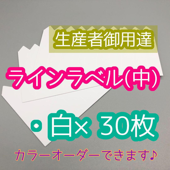 ◎カラーオーダー◎ラインラベル 中 白30枚 園芸ラベル カラーラベル 多肉植物 エケベリア