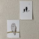 『ふくろう』&『ミミズクの影』2枚組イラスト