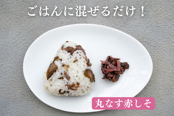 【長野県産丸なす、国産きゅうり・しその葉】まぜまぜおむすび「丸なす 赤しそ」