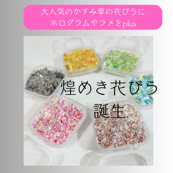 【メール便】きらめき花びら 花材 レジン ネイル レジン封入 サシェ アロマワックス 材料 封入 素材 花素材