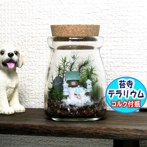 苔寺【苔テラリウム・手作りキット一式】コルク付きビン