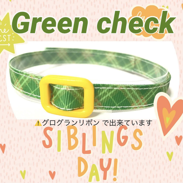 Green Check＊迷子札付＊フルオーダーの軽い首輪