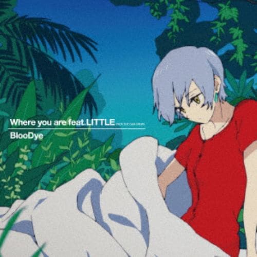 【CD】BlooDye ／ Where you are feat. LITTLE(KICK THE CAN CREW)(アニメ盤)(DVD付)