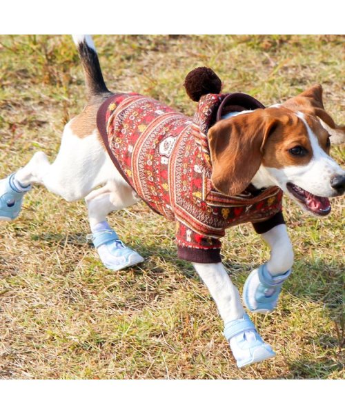 犬 靴 犬靴 犬用靴 ドッグシューズ スニーカー 夏 肉球やけど防止 履かせやすい くつ 【秋 冬 秋冬 冬服 毛抜け防止 毛落ち防止 おしゃれ 可愛い 女の子