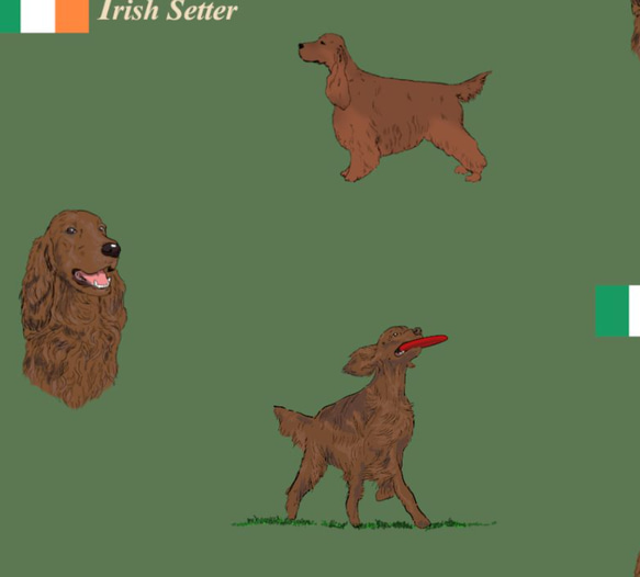 Irish Setter　シーチング生地