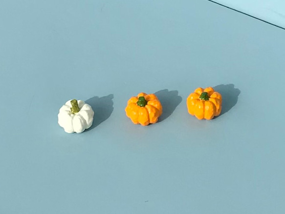 mini pumpkin  white