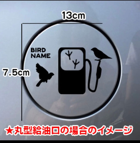 【送料無料】文鳥 ぶんちょう 給油口 ステッカー リアガラス 鳥 車 名入れ無料