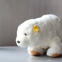 ドイツ製 Steiff Cozy Issy シロクマ Polar Bear 白くま シュタイフ ぬいぐるみ フィギュア アンティーク_240605 ig3992